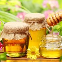 Beauty Benefits Of Honey for Skin and Hair, Moisturizing Homemade Face Masks For Dry Skin