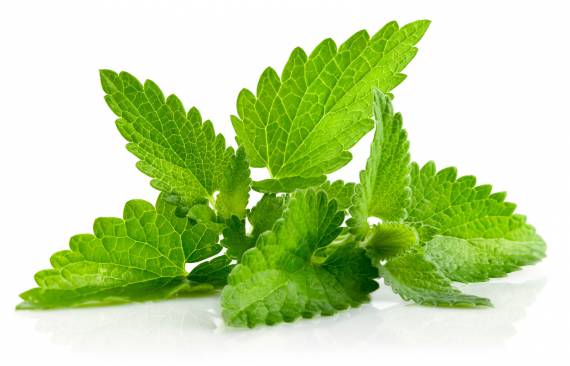 How To Use Mint Leaves For Clean Clear Skin-Homemade Remedies