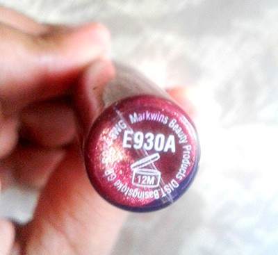 Wet n Wild Megalast Liquid Lip Color E930A Raisin The Roof Review Swatch (6)