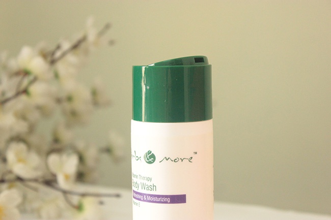 Herbs & More Vitamin Therapy Body Wash Review (3)