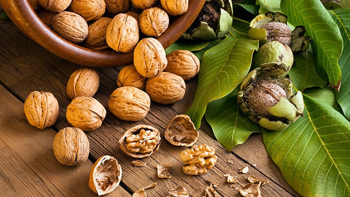health and beauty benefits of walnuts