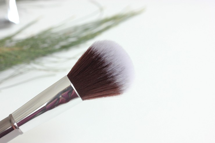 Platinum Beauty Makeup Brushes Review, Price (14)