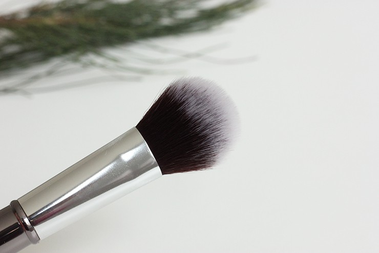 Platinum Beauty Makeup Brushes Review, Price (17)