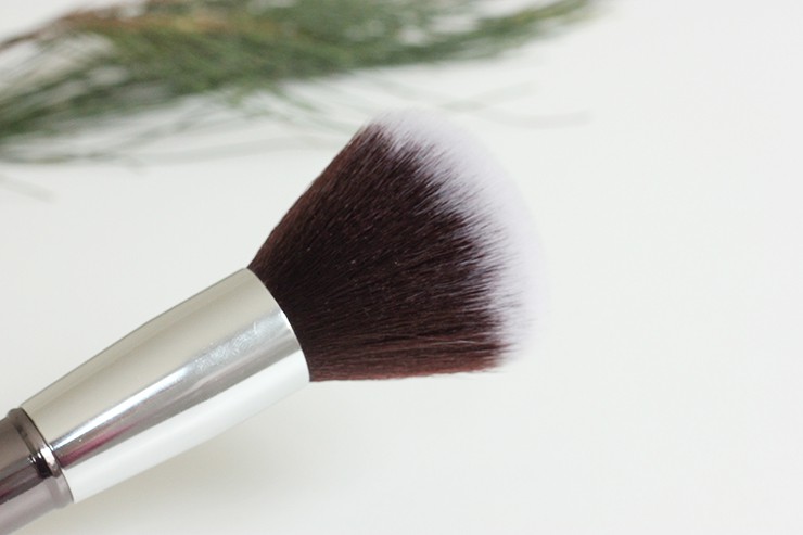 Platinum Beauty Makeup Brushes Review, Price (2)