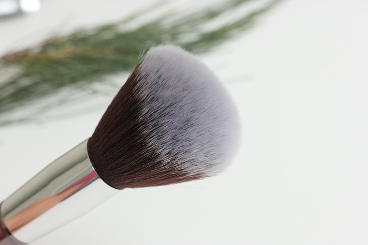Platinum Beauty Makeup Brushes Review, Price (3)