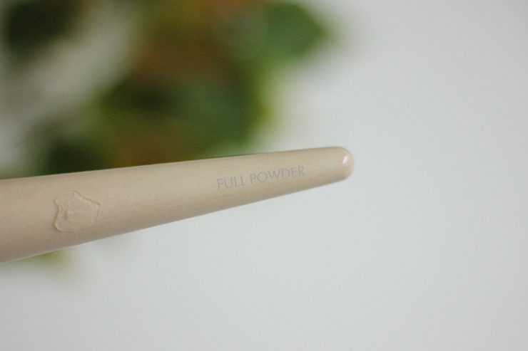 EcoTools Full Powder Brush, Micro Blending Brush And Perfecting Blender Duo Sponge Review (10)