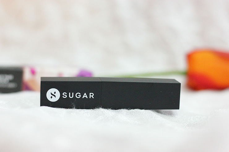 Sugar Cosmetics It's A Pout Time Vivid Lipstick Brownton Abbey Review Swatches (11)